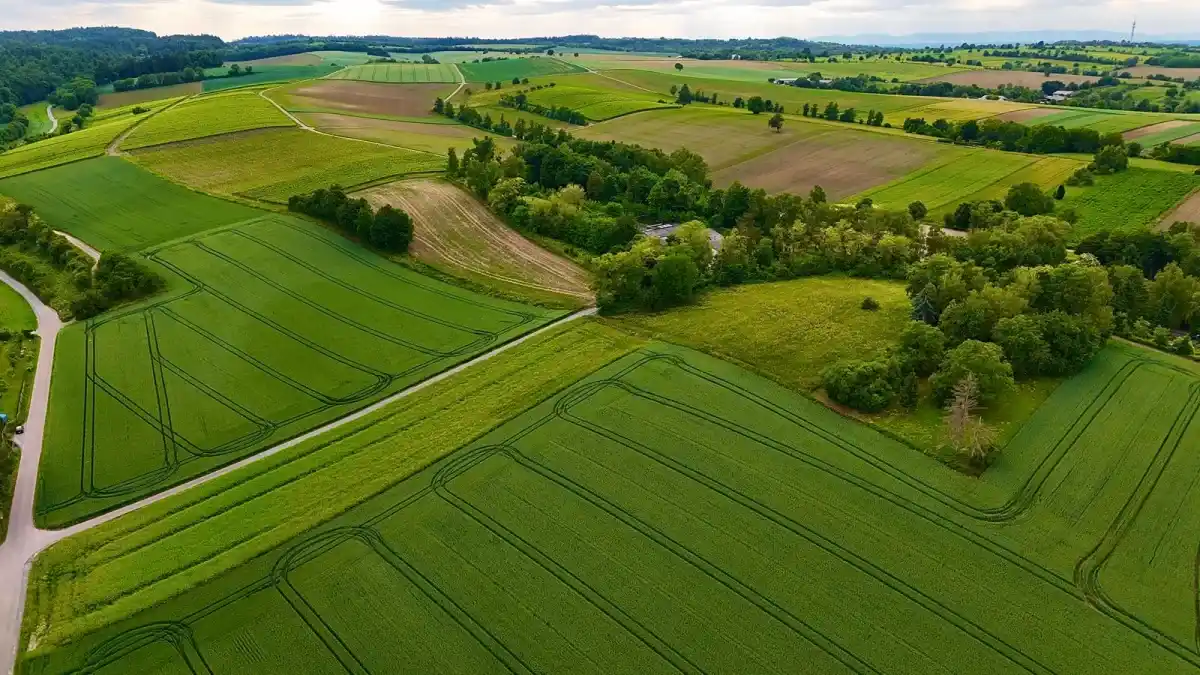 Aerial panorama of green farmland fields divided into parcels, ready to be matched with tenants